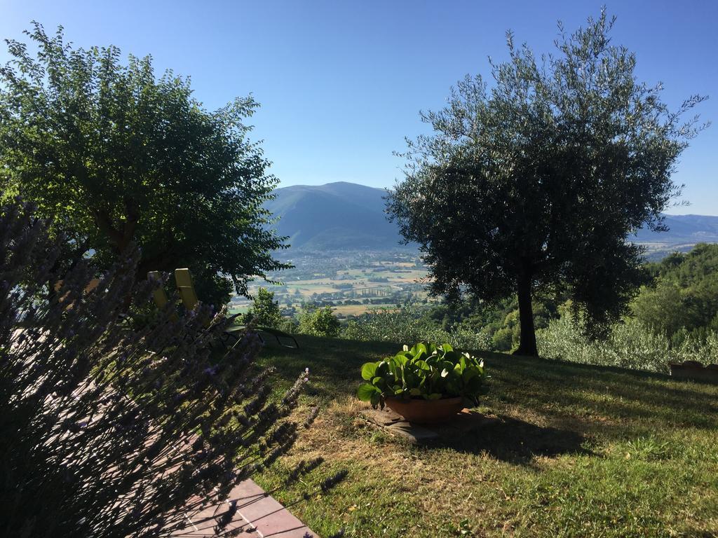 Casale Degli Ulivi Villa Gualdo Tadino Eksteriør billede
