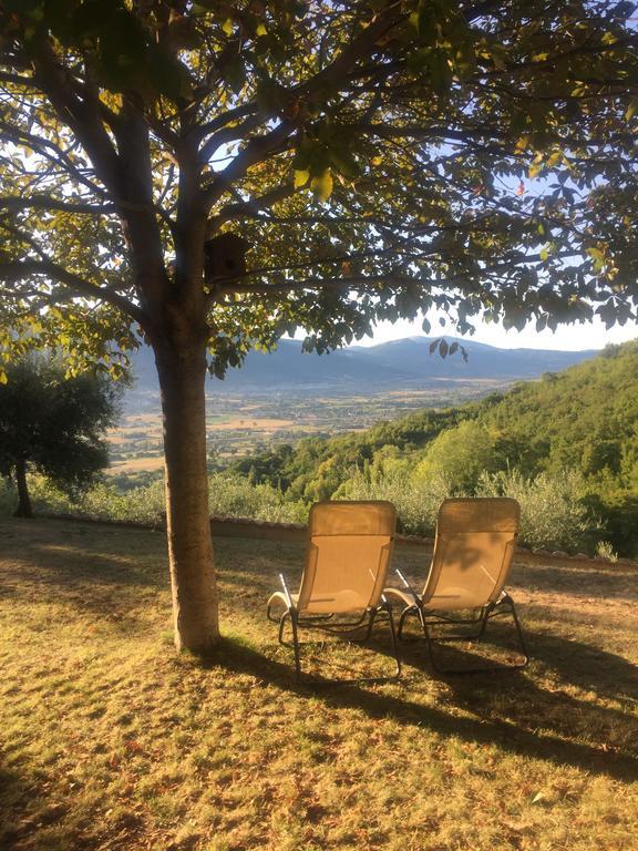 Casale Degli Ulivi Villa Gualdo Tadino Eksteriør billede